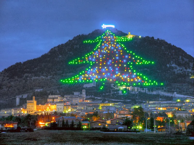 World's largest Christmas Tree