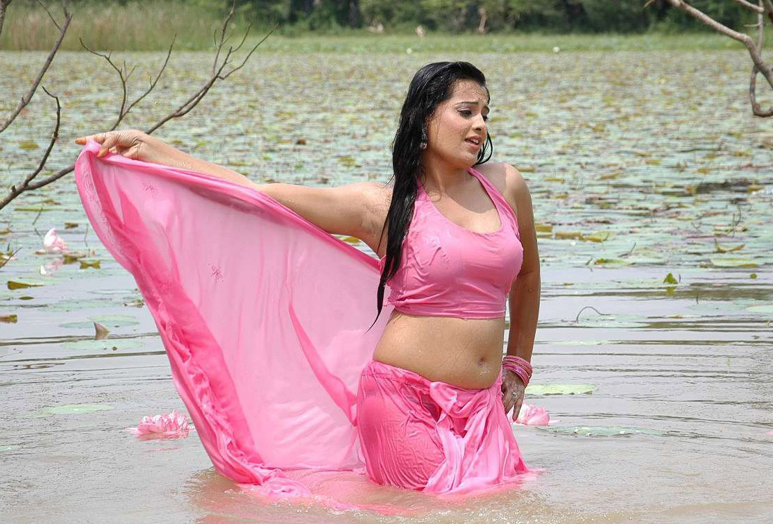 Beautiful Indian Actress Cute Photos, Movie Stills: Roopa Kaur Spicy Pink  Saree Hot Navel in Tamil Movie Senkadu