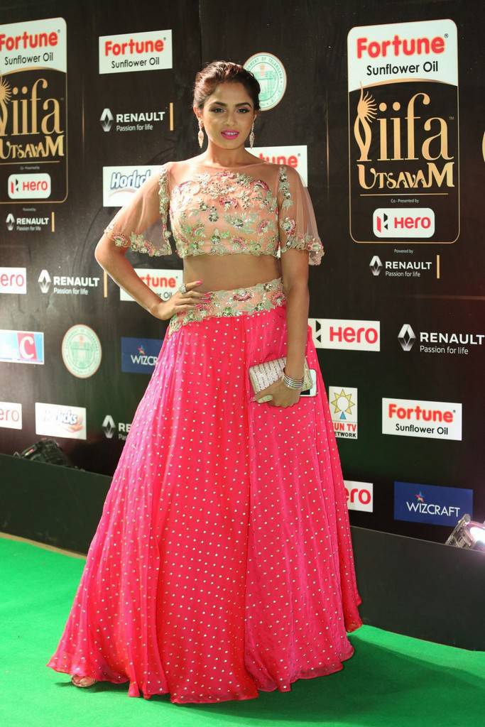Indian Model Asmita Sood At IIFA Awards 2017 In Pink Dress