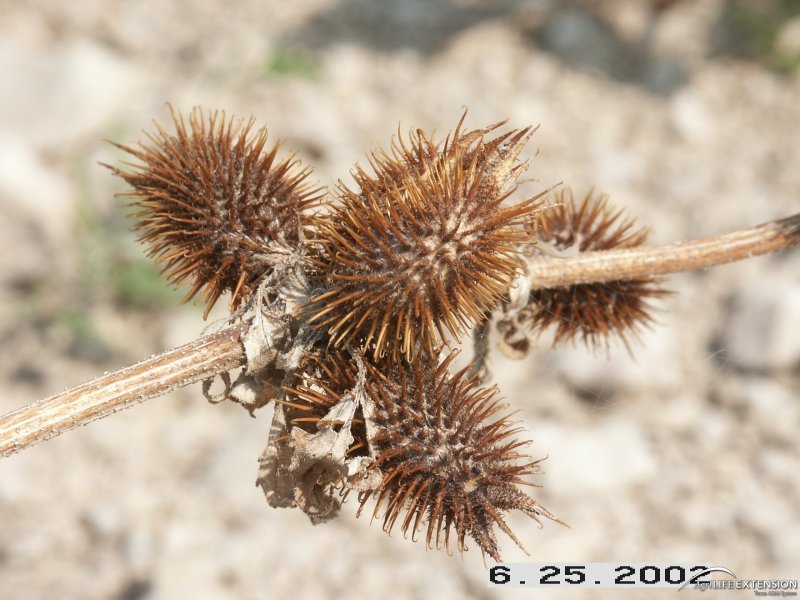 CollageMama�s Hearty Breakfast Blog Aaron and the