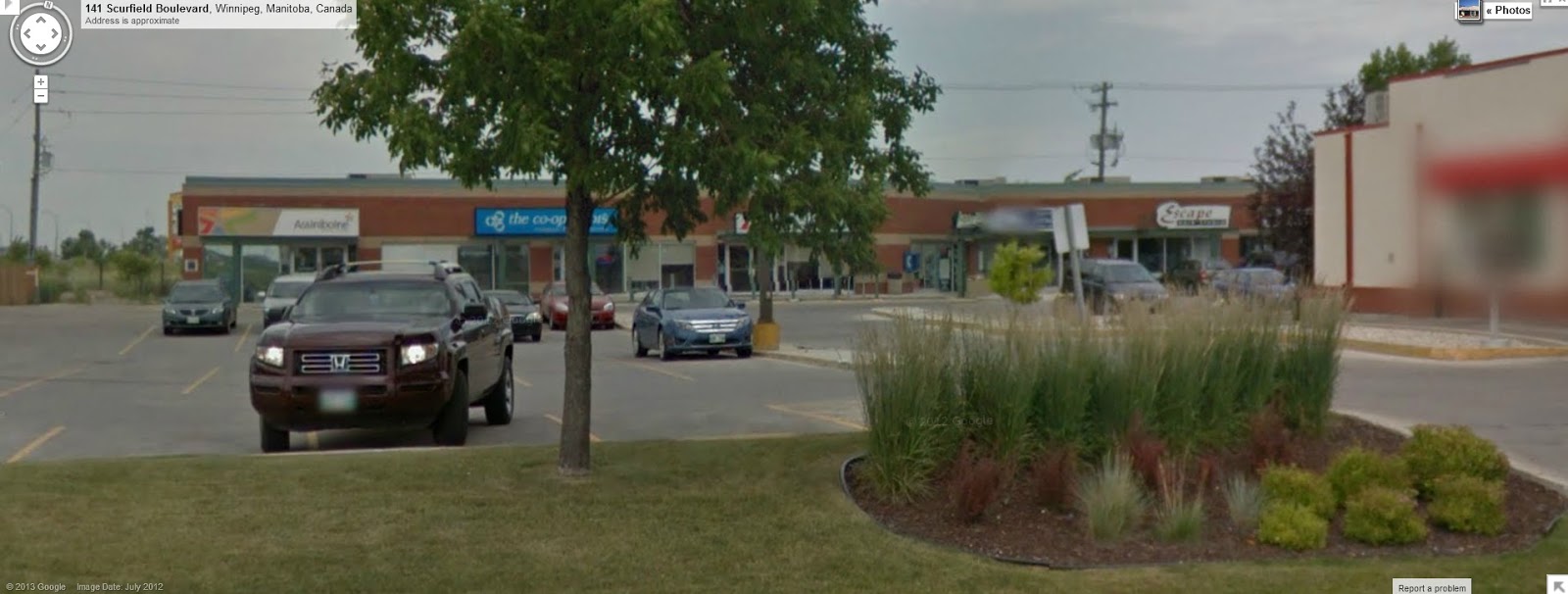 Observations, Reservations, Conversations Seasons of Tuxedo Kenaston