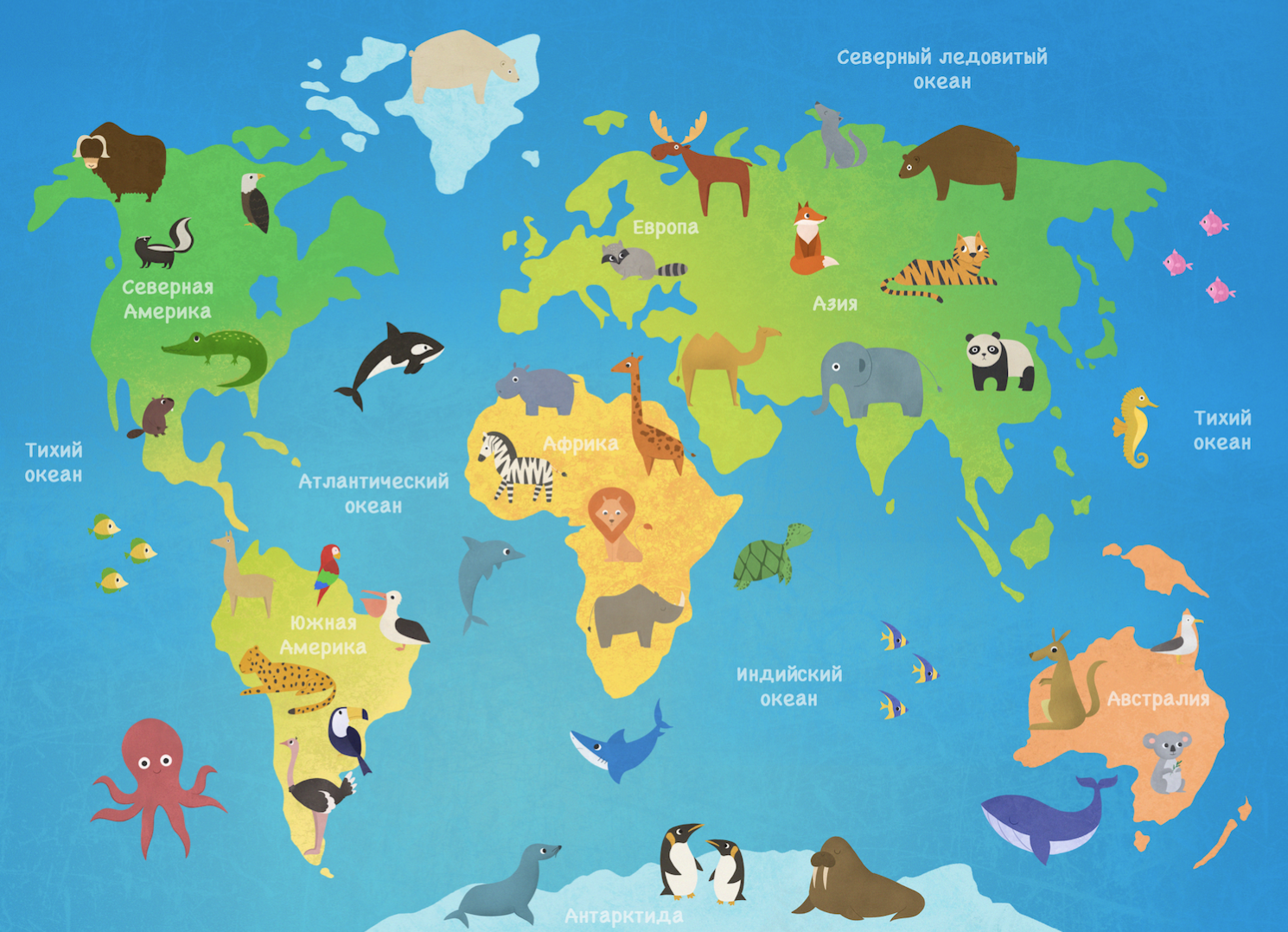 Урок по странам и континентам. Материки для дошкольников. Животные по континентам для детей. Материки и континенты для детей. Макет материков с животными.