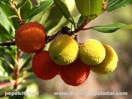 cura la uretritis natural