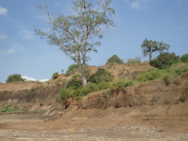 MpiniWaShoka: MACHIMBO YA MCHANGA; MIRONGOINE-ARUSHA