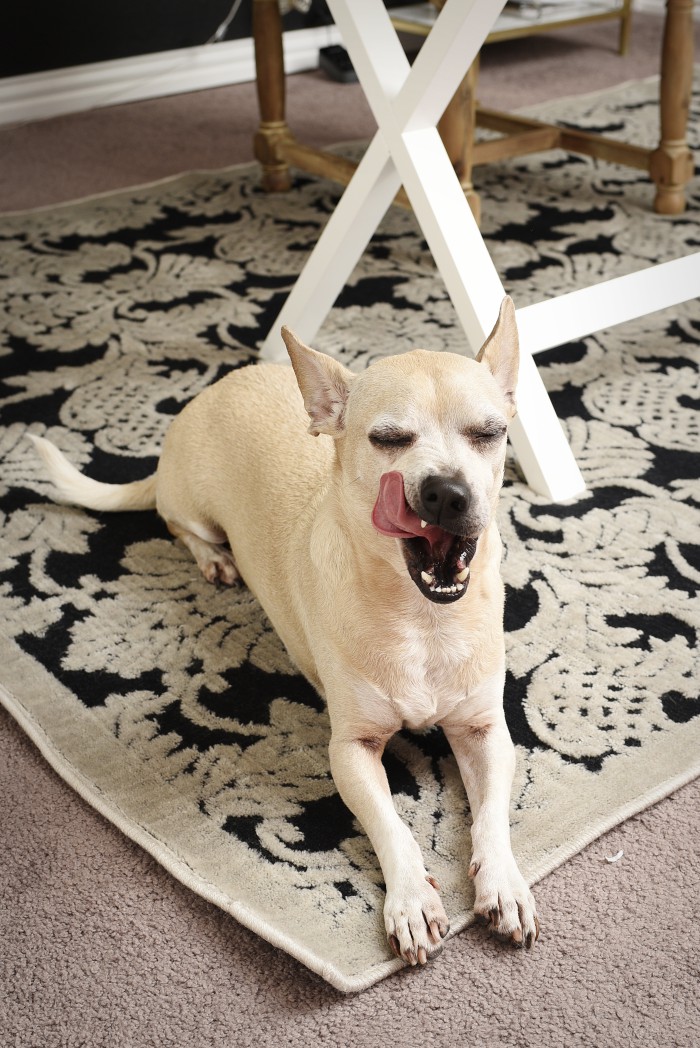Nourison Graphic Illusions Damask Rug Review Monica Wants It A Review Of The Nourison Graphic Illusions Black Damask Area Rug From Studio