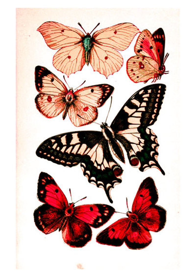 printable-butterfly-collage-sheets