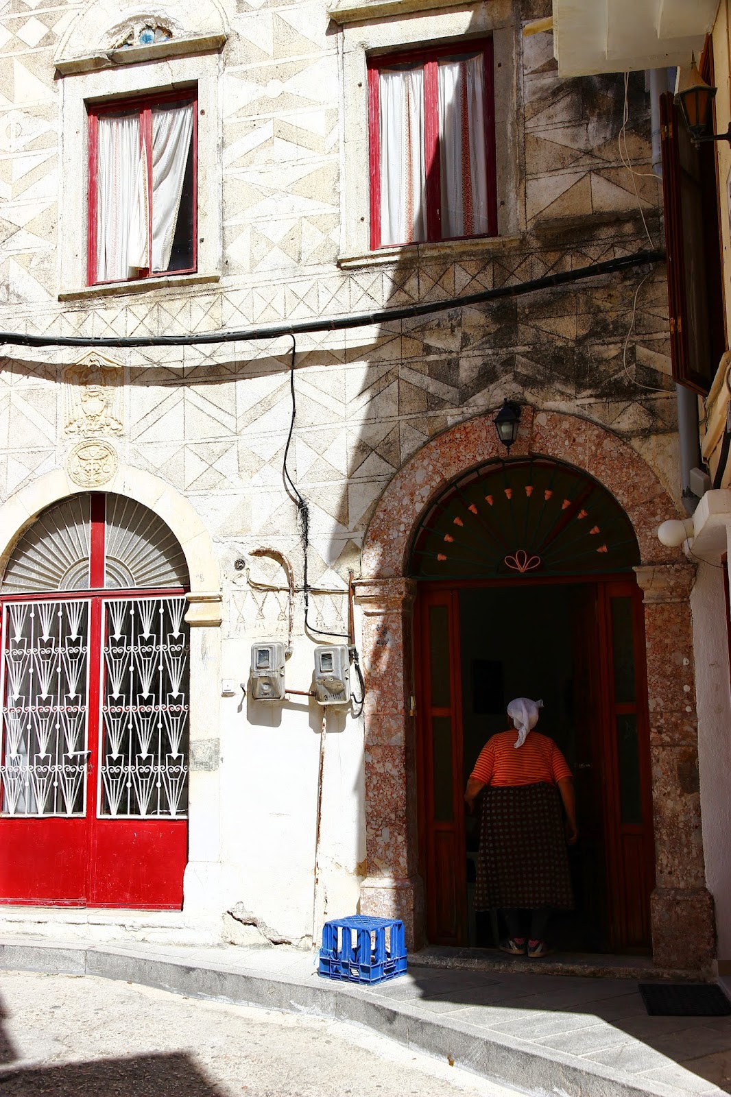 Okur gezer kedi Ekim 2014