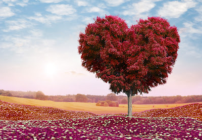 Banco de Imágenes Gratis: Nuevas imágenes para el Día de San Valentín