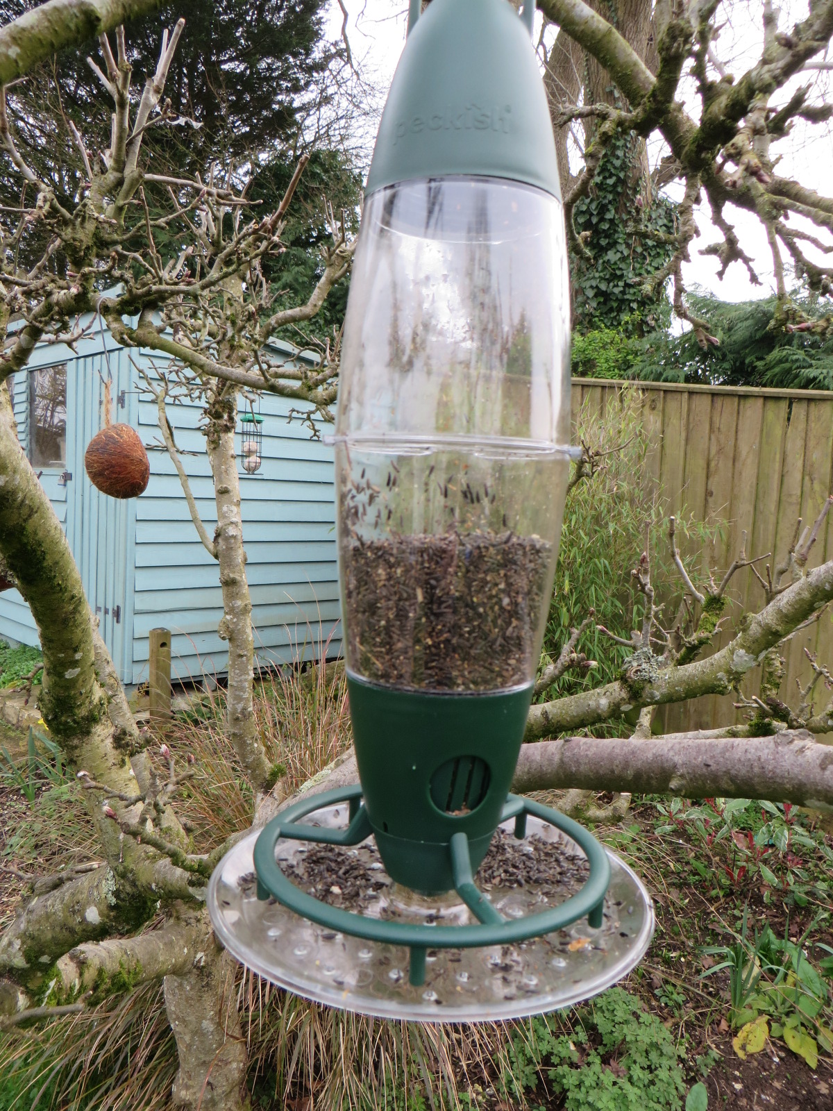 Feeding Garden Birds Mixed seed feeders