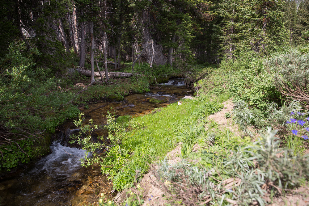 The Garlick Press Steam Mill Hollow