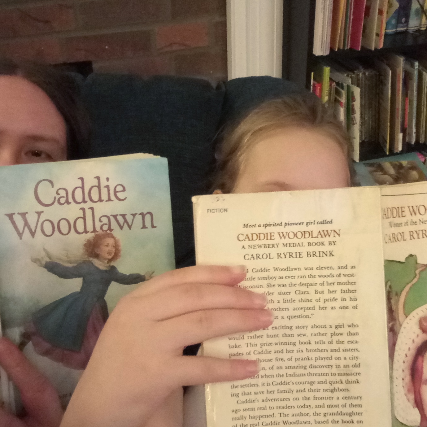 The Edge of the Precipice "Caddie Woodlawn" by Carol Ryrie Brink