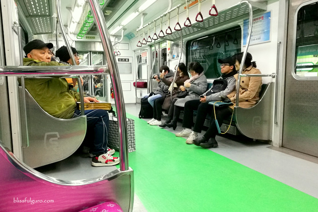 Metro Train Seoul