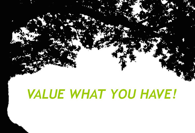 Value What you Have