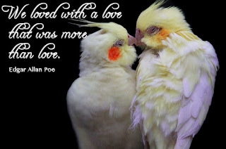 love images Find the best free stock images about love. Download all Love Photos and use them even for commercial projects.Romantic love pictures free photos download for commercial use. (1939 files) in jpg format. romantic love pictures, free photos, romantic love, romantic love ..