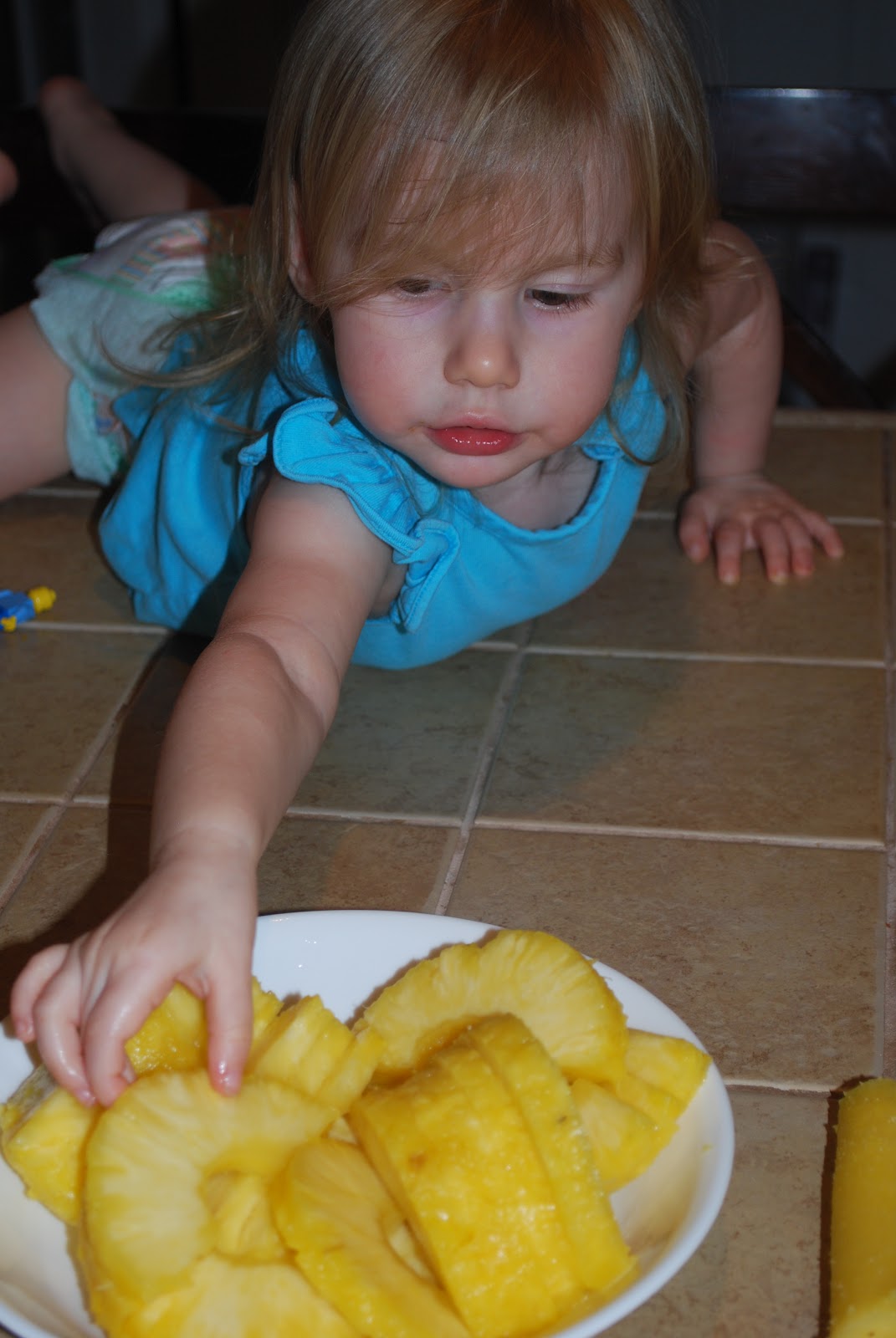 The Jones Family Products I Love Pampered Chef Pineapple Slicer