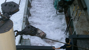 Apa arti ABANDON SHIP