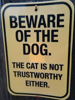 funny pictures 8 funny pictures 8