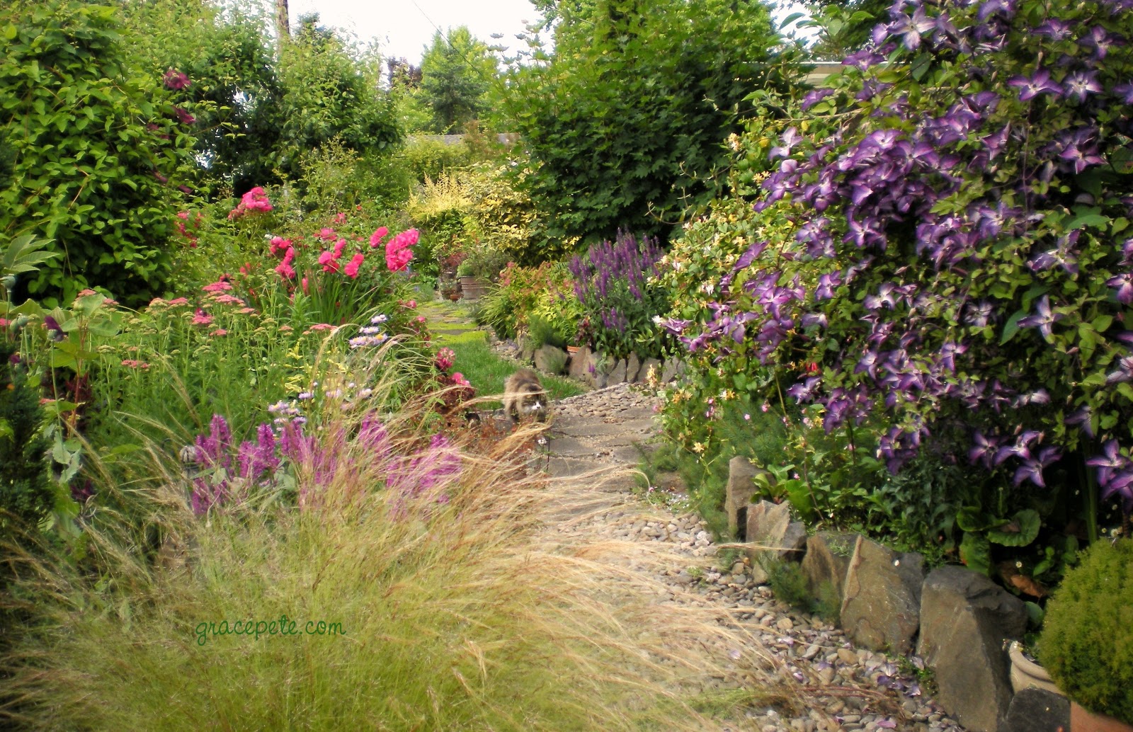 Gardening With Grace The Garden in July