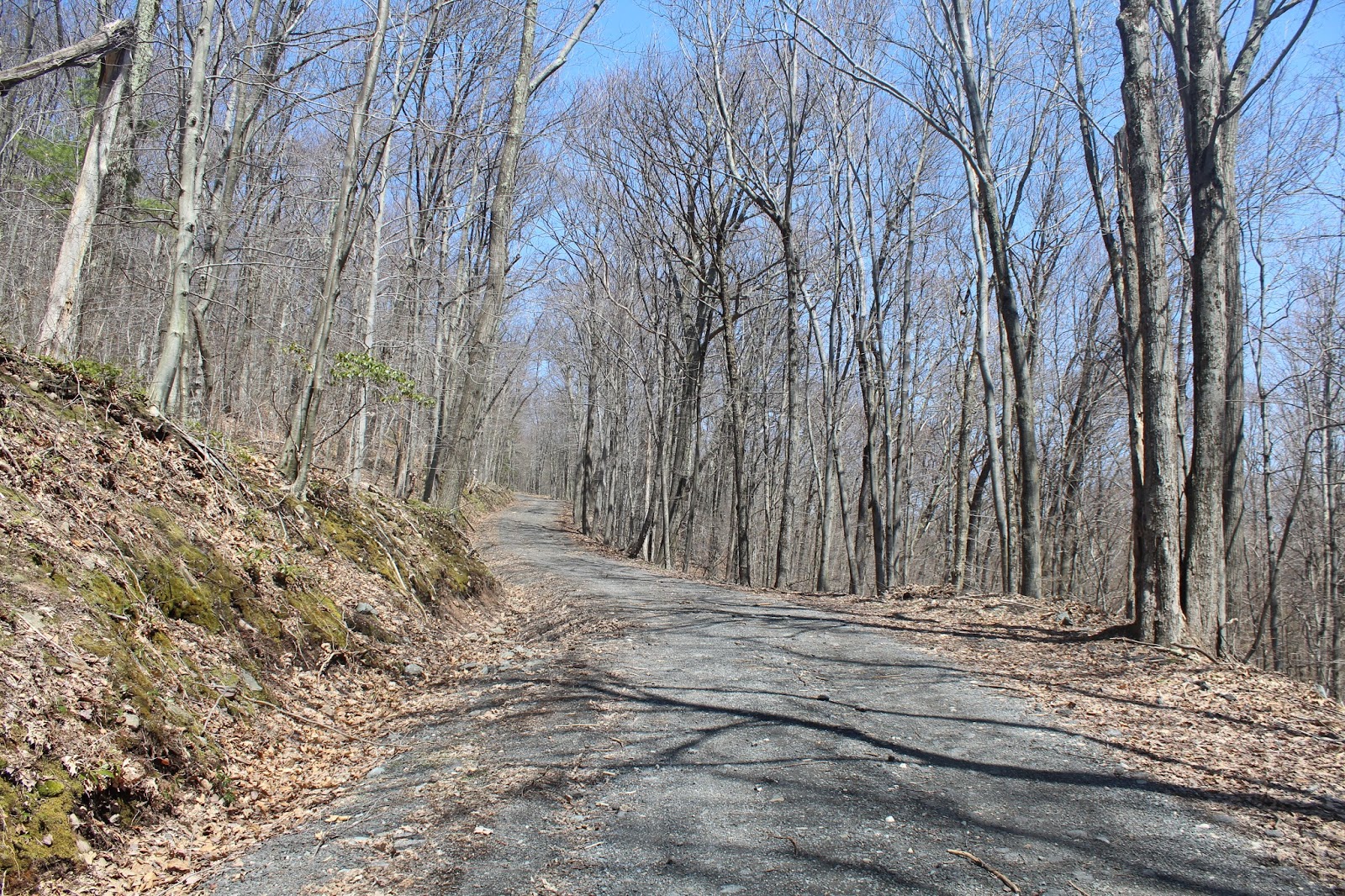 Walking Man 24 7 Denman Mountain(Catskills)