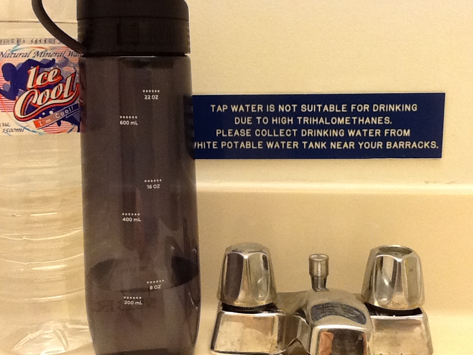 Life on Diego Garcia Trihalomethanes