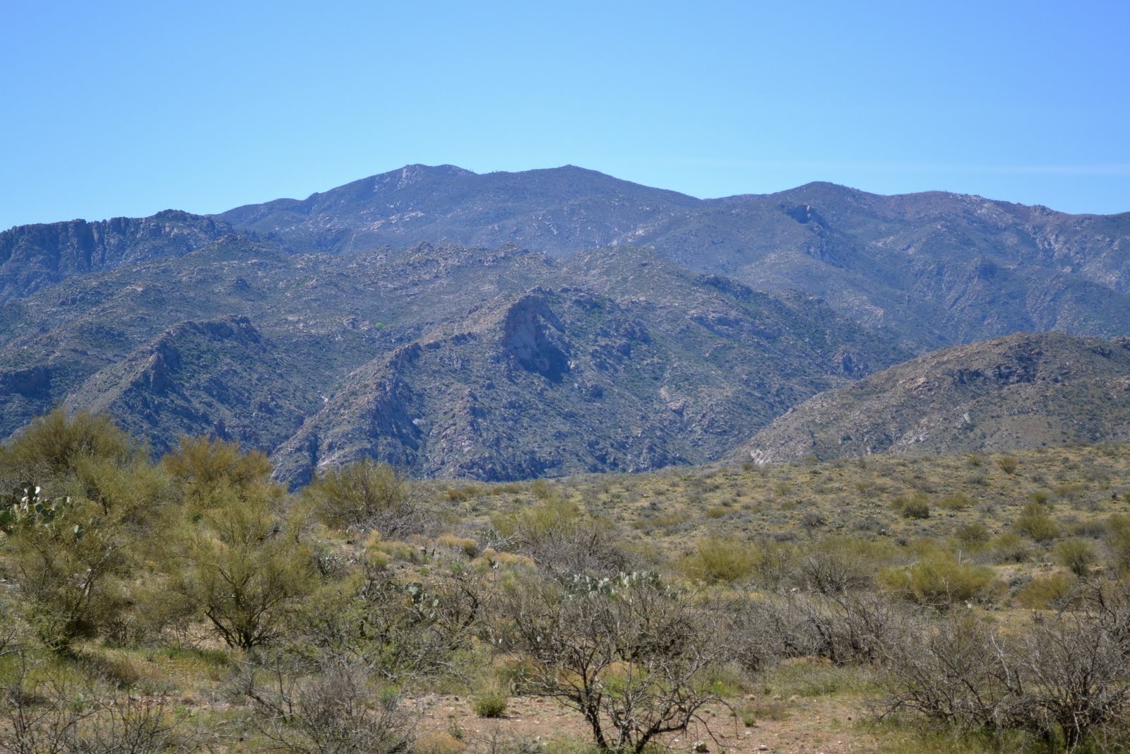 Fields And Fine Linen Cleator Arizona