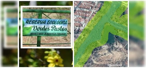 Luta pelo meio ambiente: Reserva Verdes Pastos e Revitalização dos rios de nossa cidade 