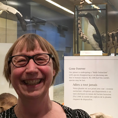 Jan Thornhill with stuffed Great Auk ROM Jan Thornhill with stuffed Great Auk ROM