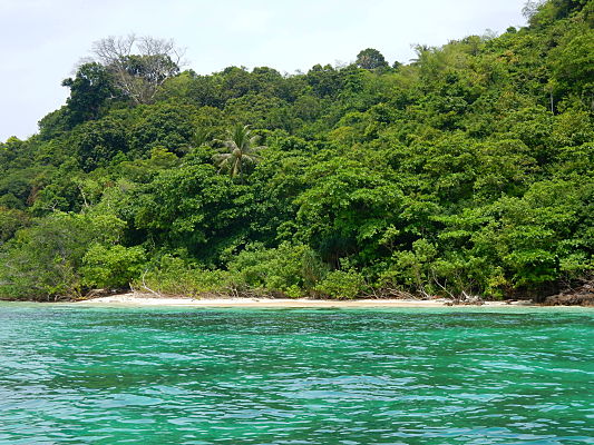passeio de barco phi phi tailandia passeio de barco phi phi tailandia