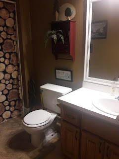 before of toilet area in bathroom remodel
