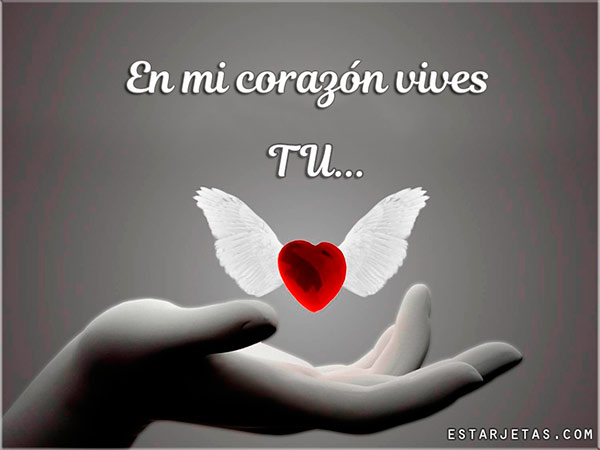 Imágenes hermosas de amor Imágenes hermosas de amor