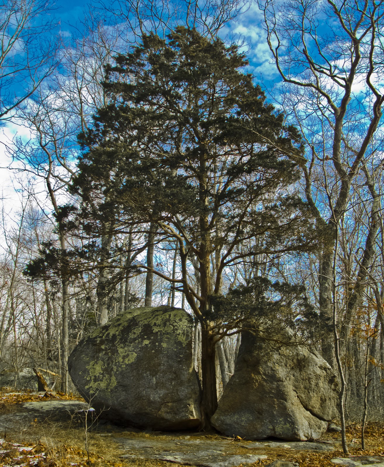 Connecticut Explorer Hiking the Westwoods Land Trust in Guilford CT