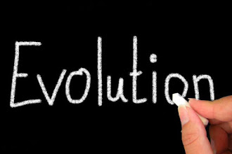 2016 Começa Agora...Que tal cultivar o nosso corpo?!