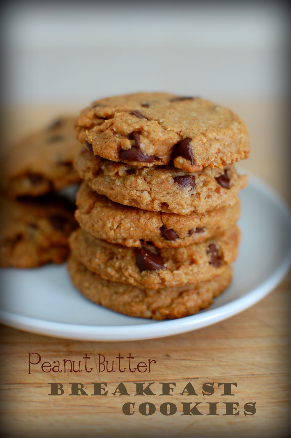 Food, Fun & Life Peanut Butter Breakfast Cookies