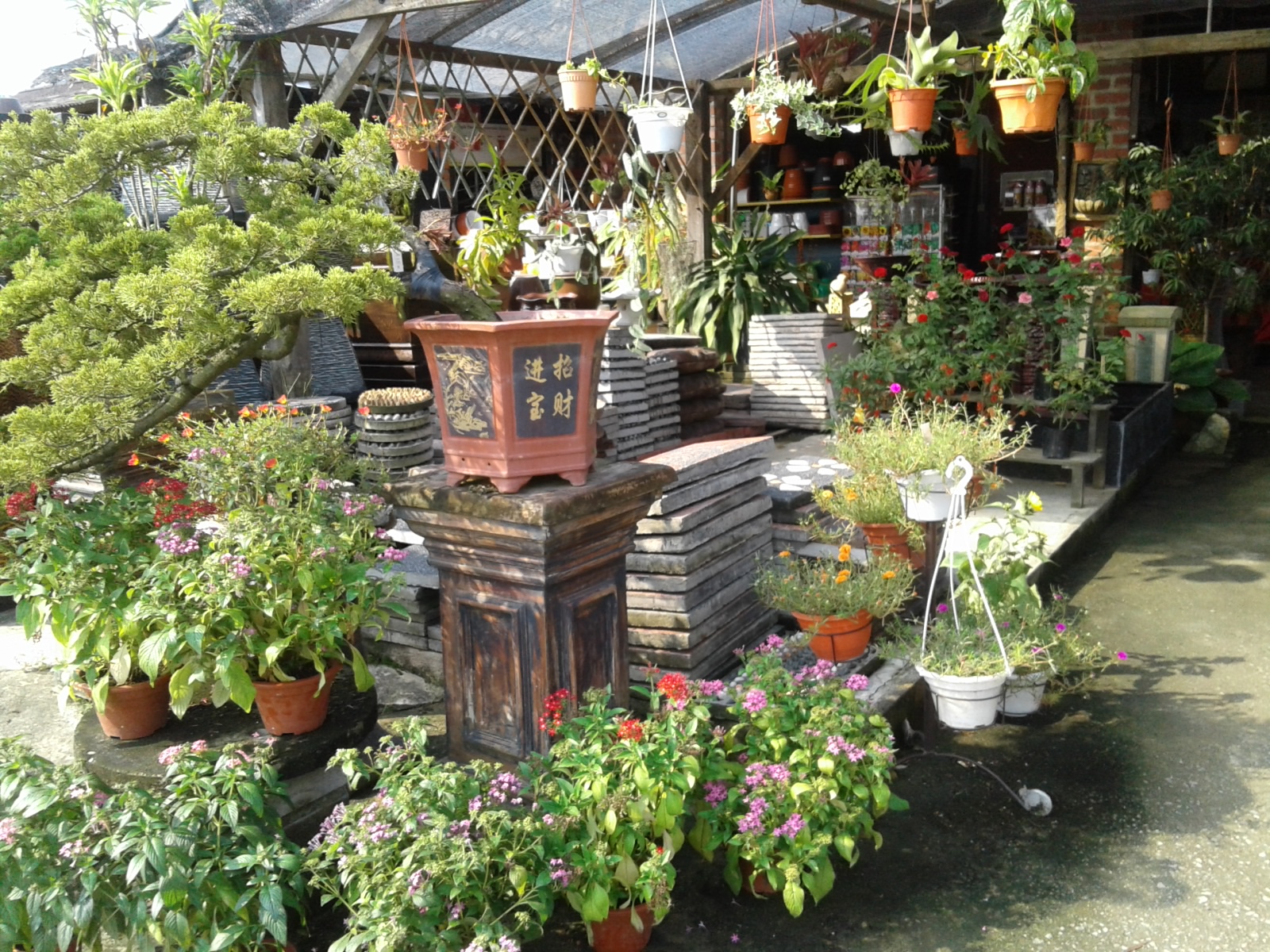Asing In Malaysia Thailand Singapore Nurseries Johor Bahru Our Garden Water Mist Fans For Example Were Bought From Here Just Mr500 Each When In Singapore We Quoted More Than Twice As Much I Recalled