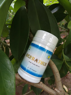Jual Obat Herbal Asam Urat HERBATHUS Paling Ampuh Jual Obat Herbal Asam Urat HERBATHUS Paling Ampuh