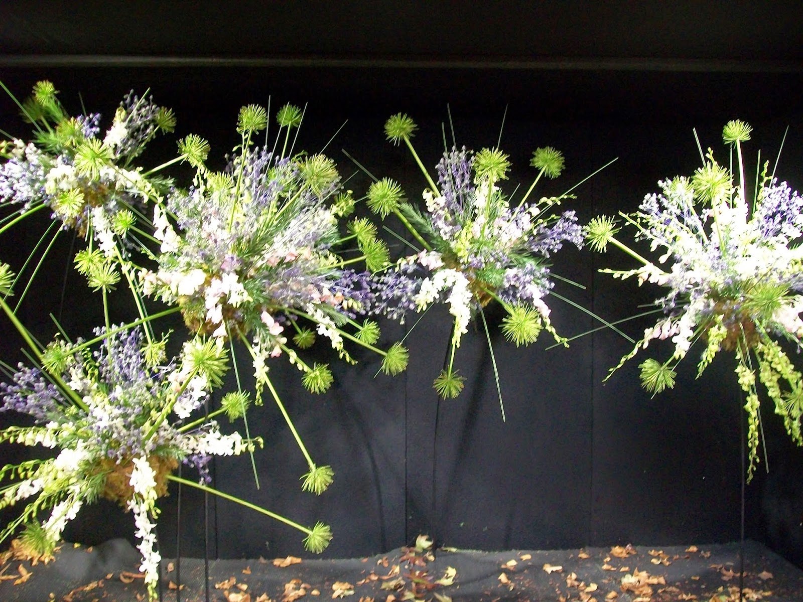 My Abundant Life Melbourne International Flower Show Photos Part 1