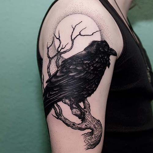 erkek üst kol kuzgun dövmesi man upper arm raven tattoo erkek üst kol kuzgun dövmesi man upper arm raven tattoo