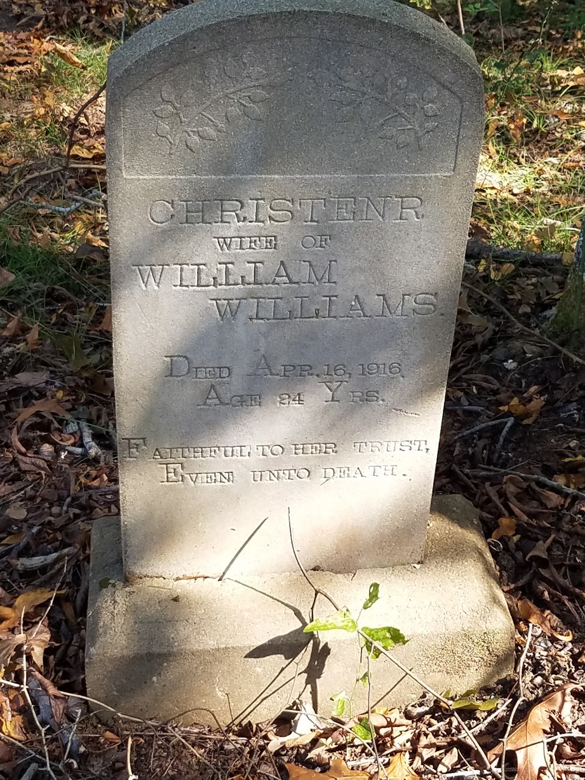 Mary Amanda's Blog Mary Boykin Chesnut Day 14 Camden South Carolina