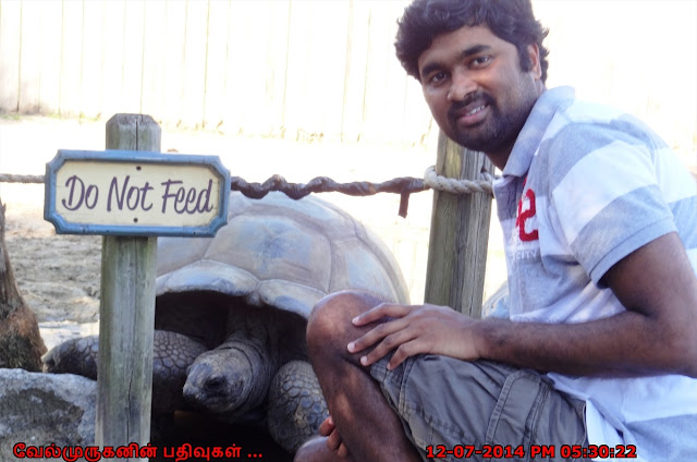 Galapagos tortoise North Myrtle Beach