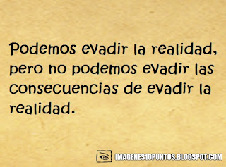 frases realistas frases realistas