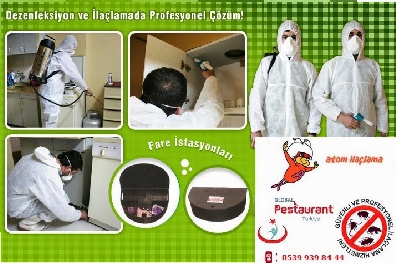 Avcılar İlaçlama Avcılar İlaçlama