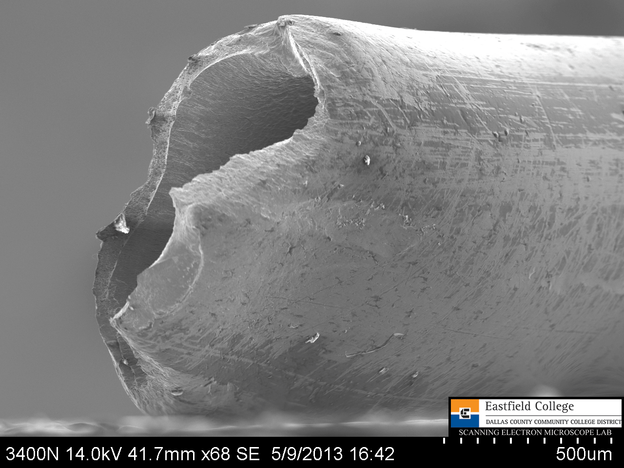 Scanning Electron Microscope Blog How Sharp is a Hypodermic Needle?