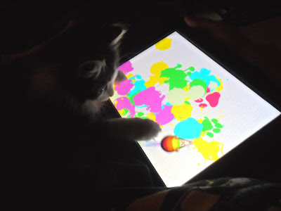Anakin two legged cat plaing the ipad game paint for cats