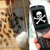 Cell Phone Towers Killing Animals and Insects
