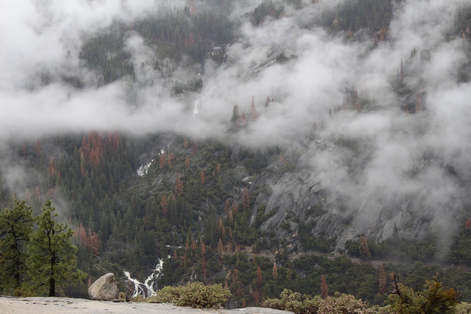 Armand's Rancho Del Cielo Yosemite's Highway 41 ReOpened