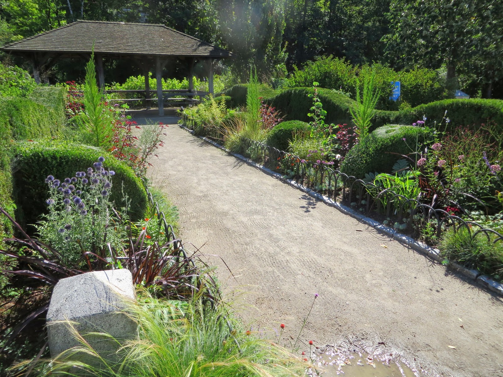 The Gardener's Eye Peterborough Parks in Early September