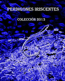 Colección Perdigones 2013