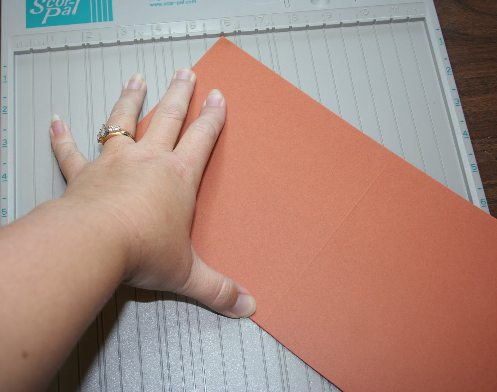 Shelly's Images Squash Fold Card Tutorial