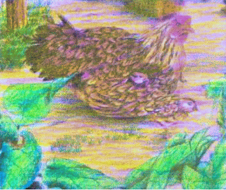 Mempertegas bentuk objek Gambar Mempertegas bentuk objek sebagai Cara Sketsa Flora dan Fauna Dengan Mudah