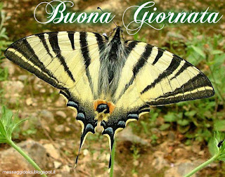 buona giornata immagini, buona giornata